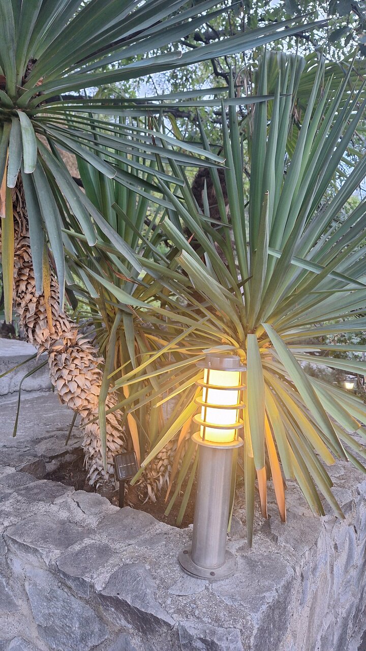 Гостевой дом Форест Алупка-90