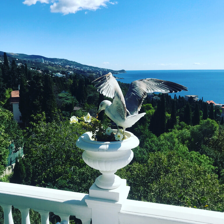 Гостевой дом Форест Алупка-108