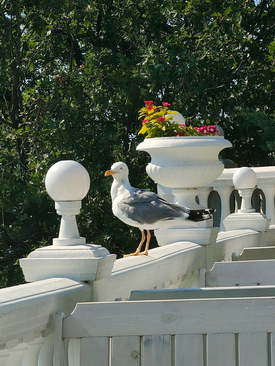 Гостевой дом Форест Алупка-178