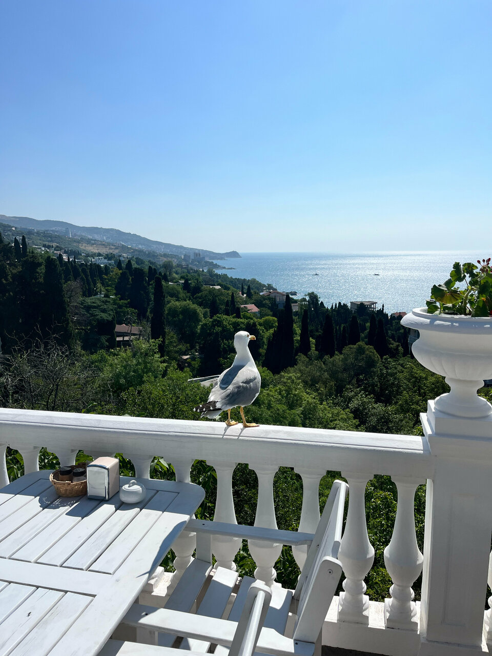 Гостевой дом Форест Алупка