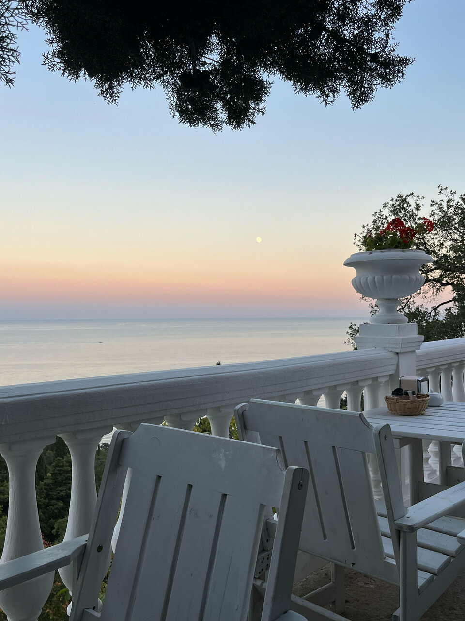 Гостевой дом Форест Алупка-247