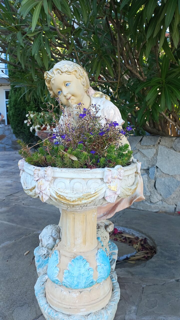 Гостевой дом Форест Алупка-103