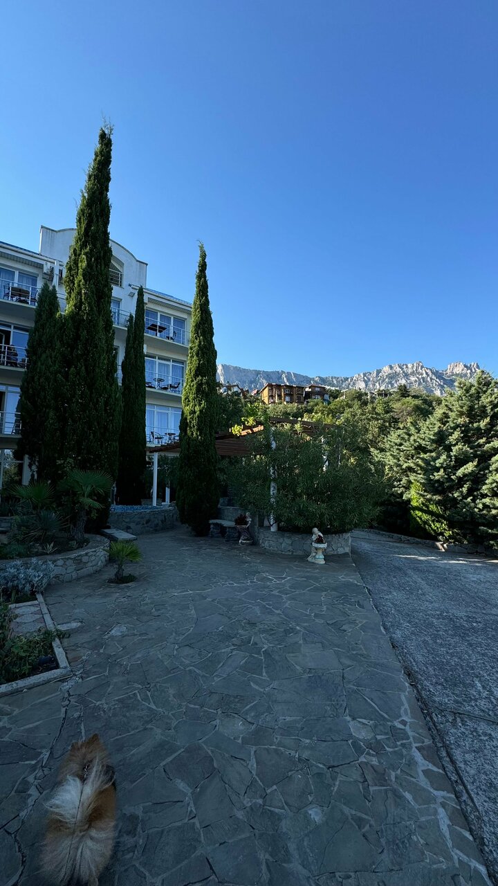 Гостевой дом Форест Алупка-164