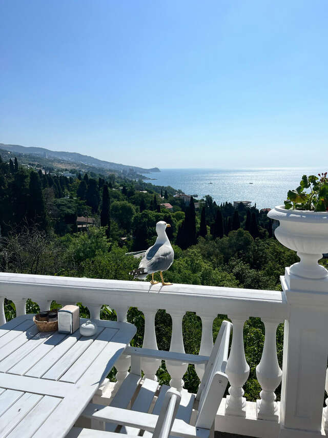 Гостевой дом Форест Алупка-233