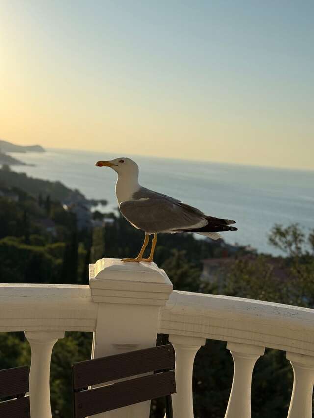 Гостевой дом Форест Алупка-162