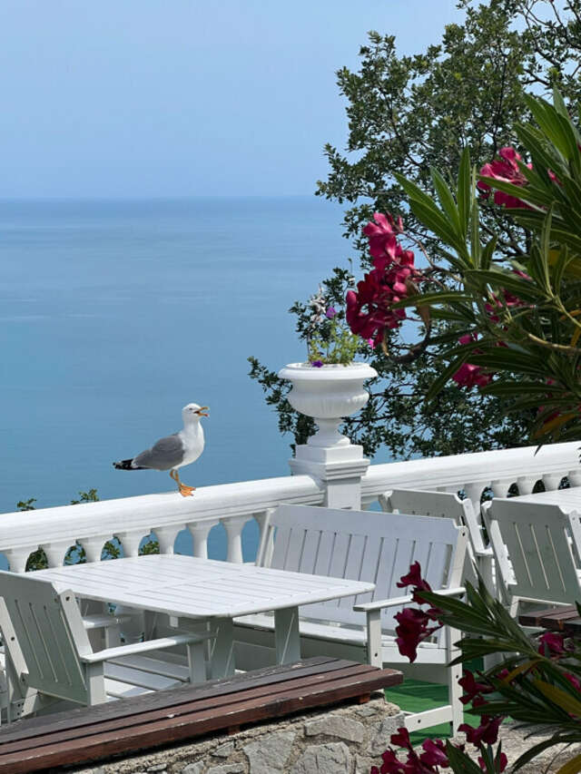 Гостевой дом Форест Алупка-140