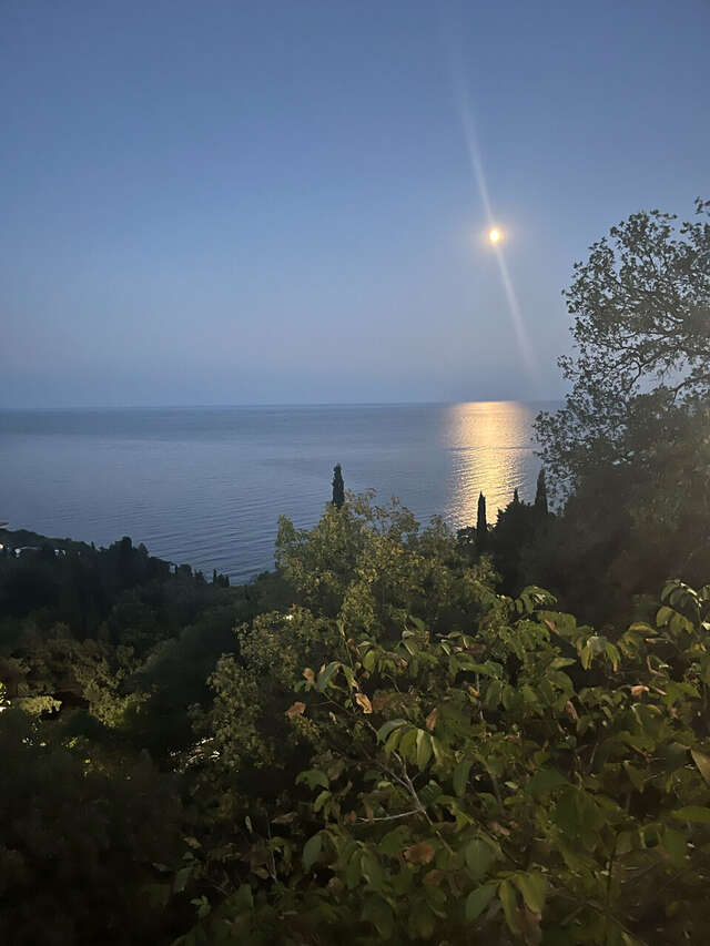 Гостевой дом Форест Алупка-164